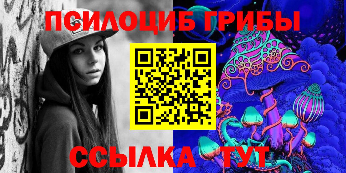Галлюциногенные грибы Psilocybe Астрахань